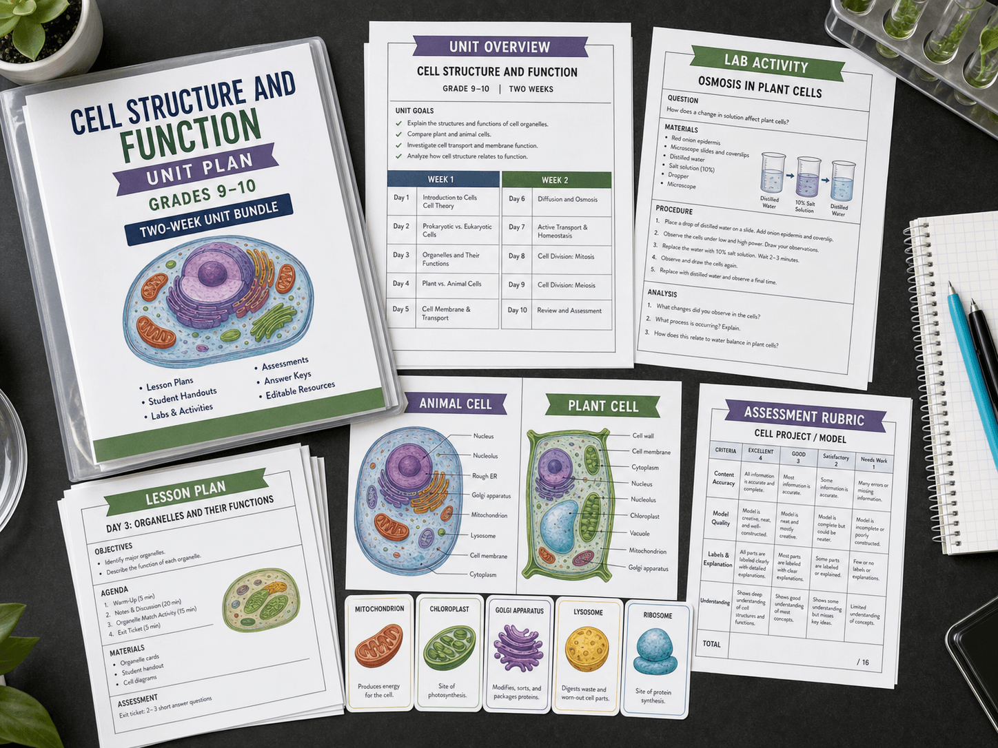 Complete cell structure unit with lesson pages, diagrams, handouts, and rubrics